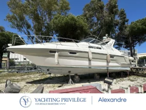 sealine 360 ambassador