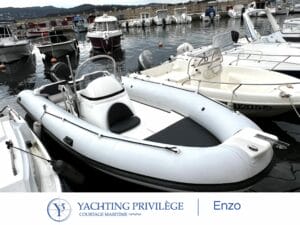 silver marine phoenix 610